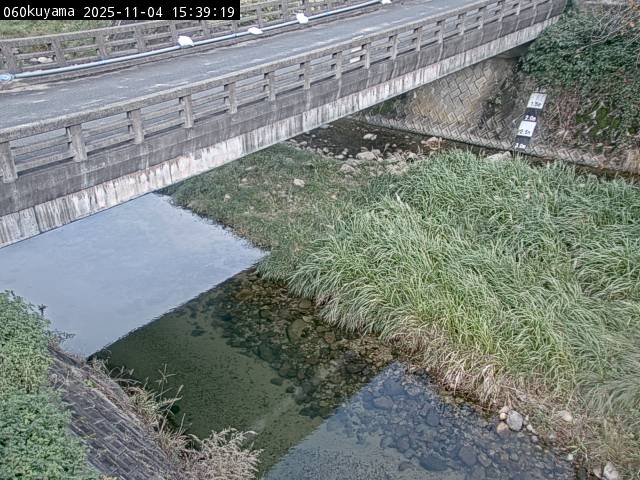 最新監視カメラ画像