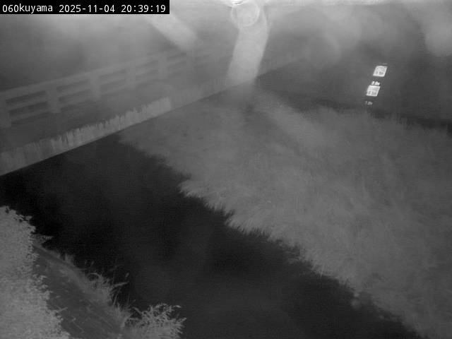 最新監視カメラ画像