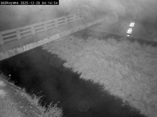 最新監視カメラ画像