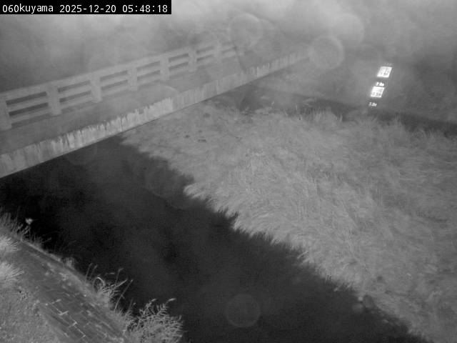 最新監視カメラ画像