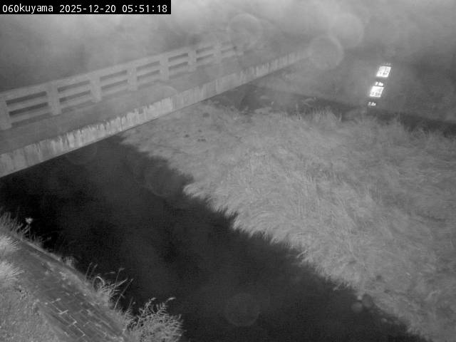 最新監視カメラ画像