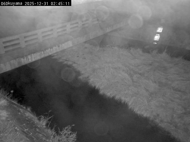 最新監視カメラ画像