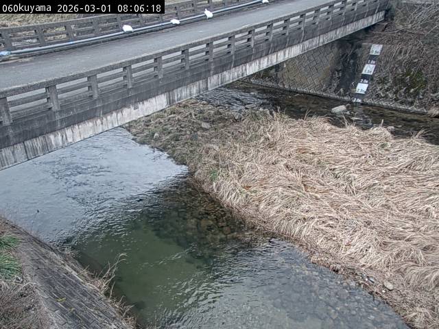 最新監視カメラ画像