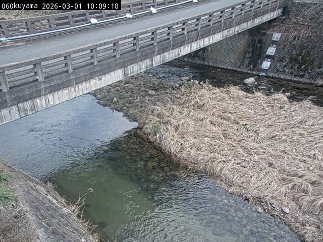 最新監視カメラ画像