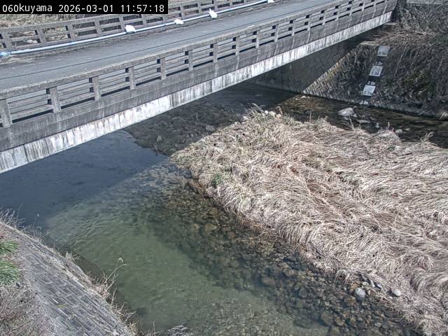 最新監視カメラ画像