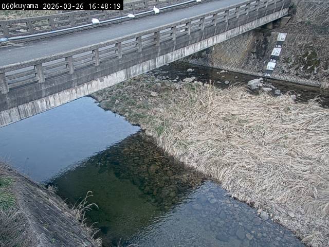 最新監視カメラ画像