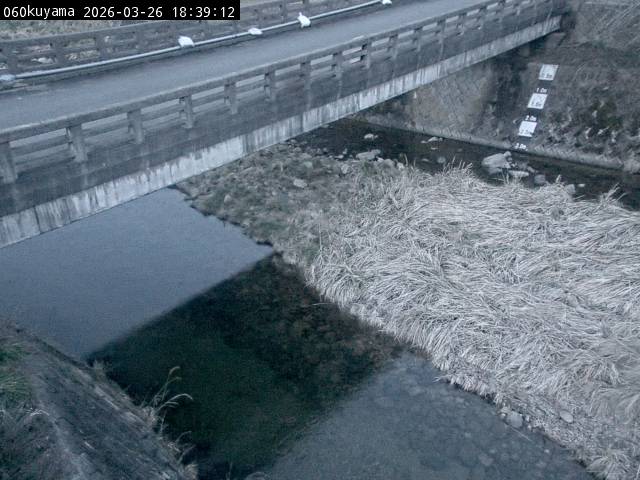 最新監視カメラ画像