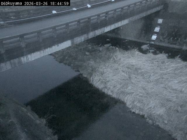 最新監視カメラ画像