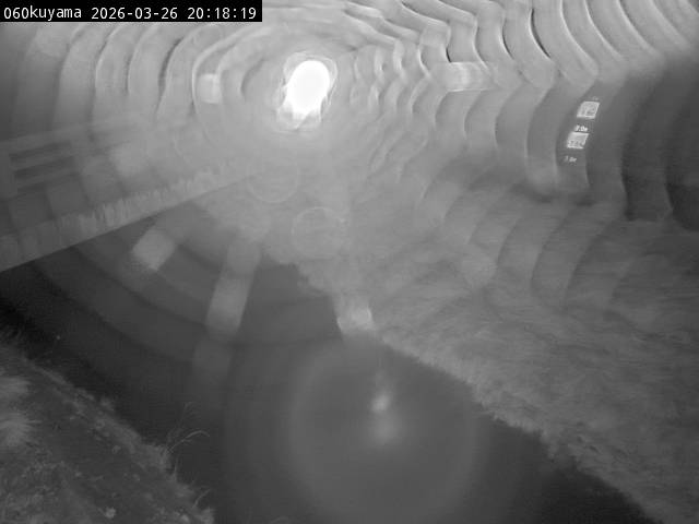 最新監視カメラ画像