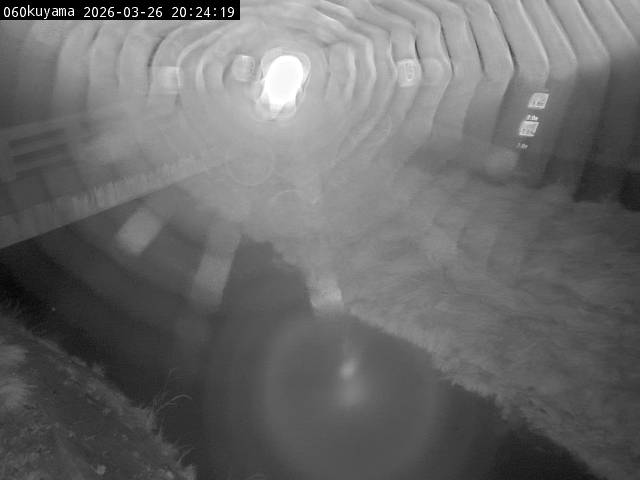 最新監視カメラ画像