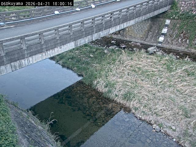 最新監視カメラ画像