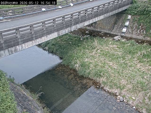 最新監視カメラ画像