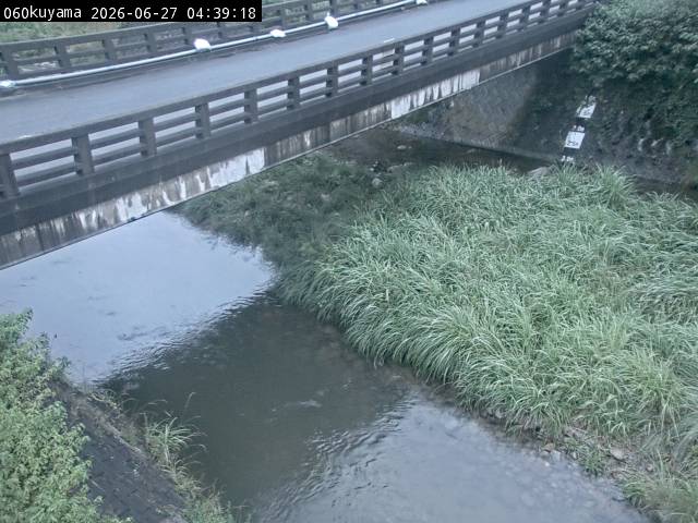 最新監視カメラ画像