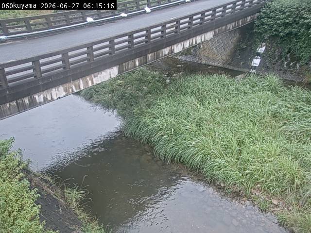 最新監視カメラ画像