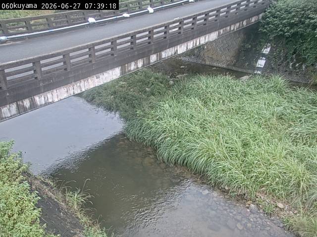 最新監視カメラ画像