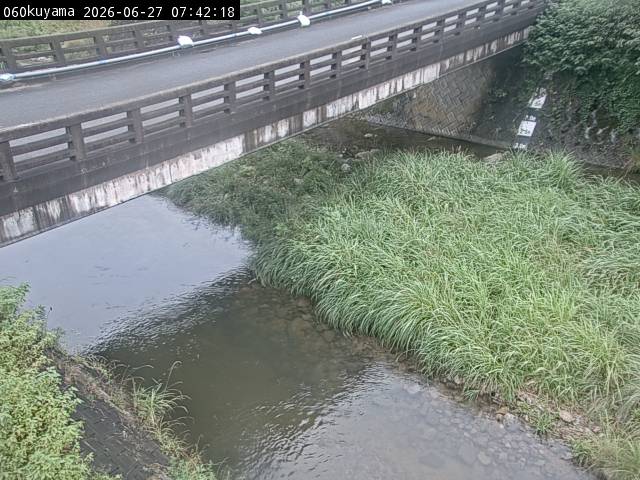 最新監視カメラ画像