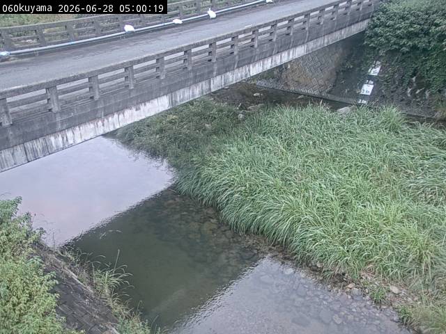 最新監視カメラ画像