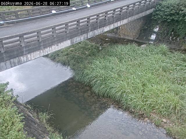 最新監視カメラ画像