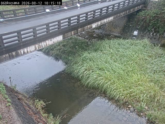 最新監視カメラ画像