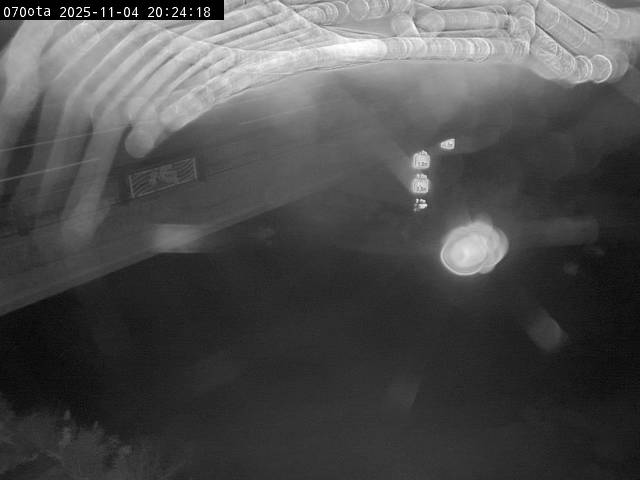 最新監視カメラ画像