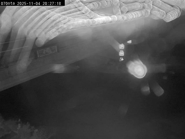 最新監視カメラ画像