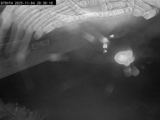 最新監視カメラ画像