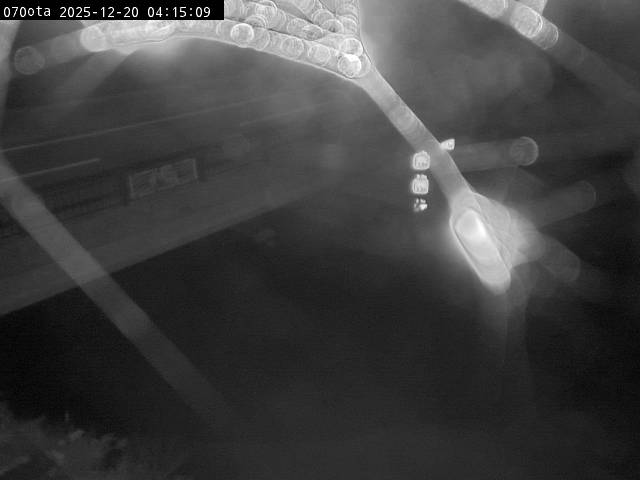 最新監視カメラ画像