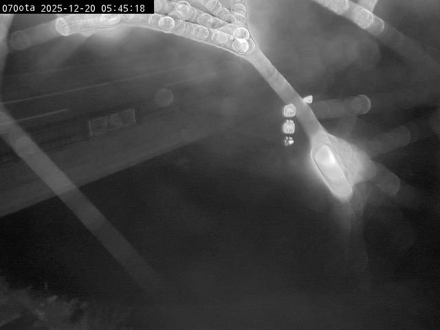 最新監視カメラ画像