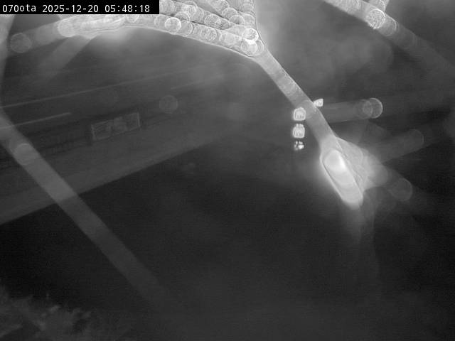 最新監視カメラ画像