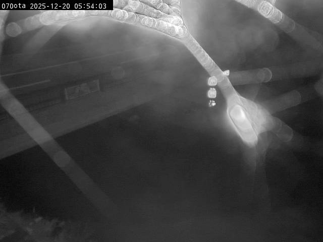 最新監視カメラ画像