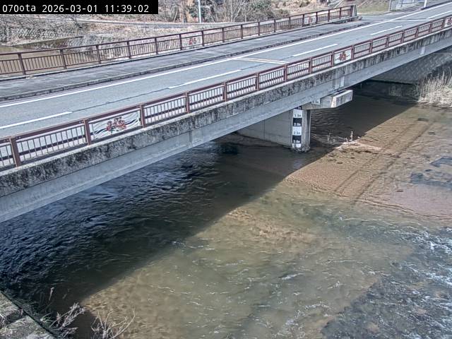 最新監視カメラ画像