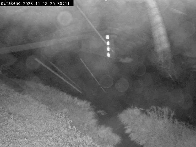 最新監視カメラ画像