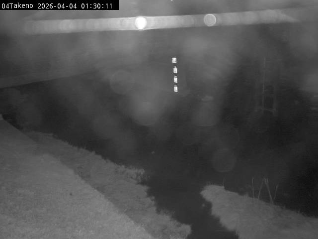 最新監視カメラ画像