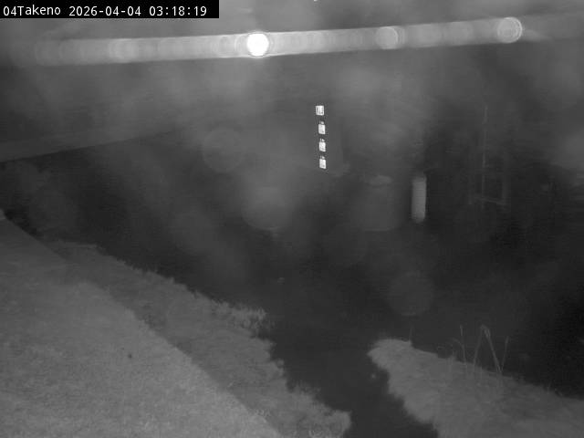 最新監視カメラ画像