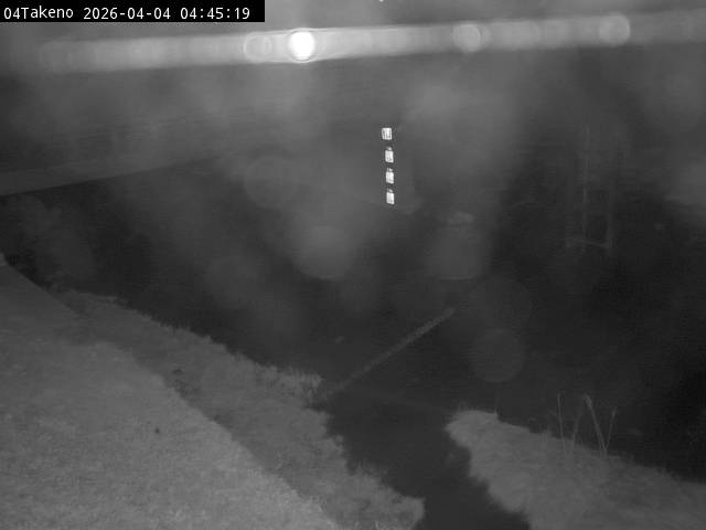 最新監視カメラ画像