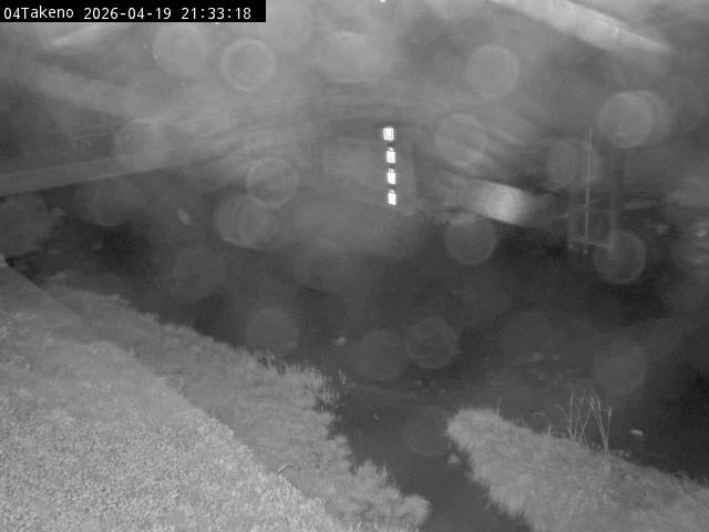 最新監視カメラ画像