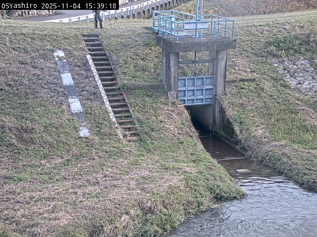 最新監視カメラ画像