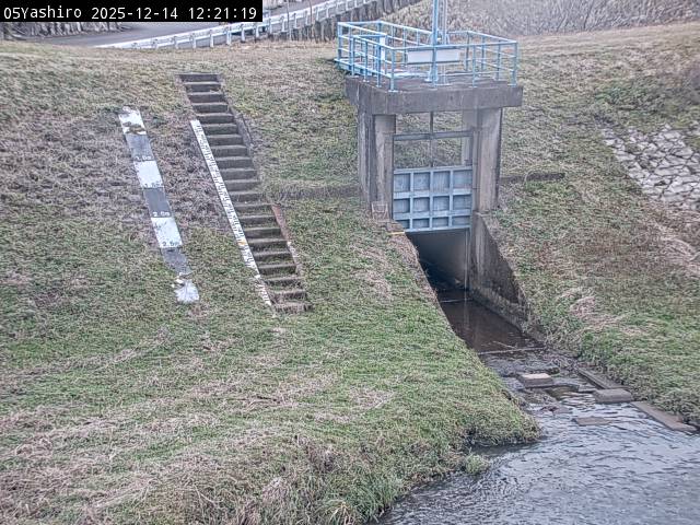 最新監視カメラ画像