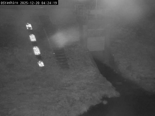 最新監視カメラ画像