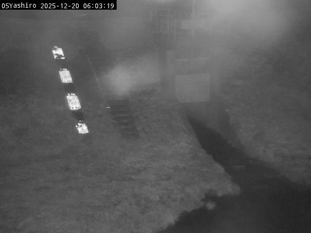 最新監視カメラ画像