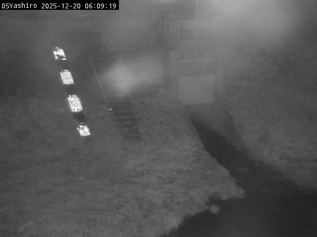 最新監視カメラ画像