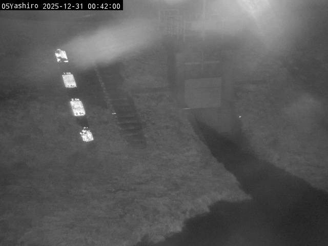 最新監視カメラ画像