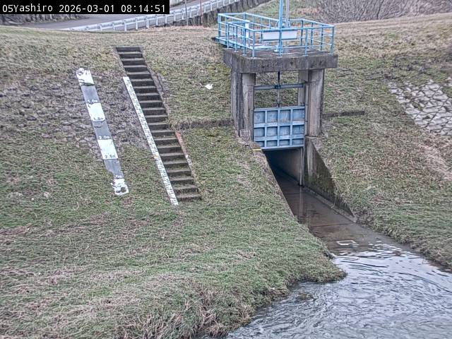 最新監視カメラ画像