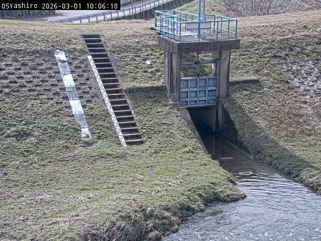 最新監視カメラ画像