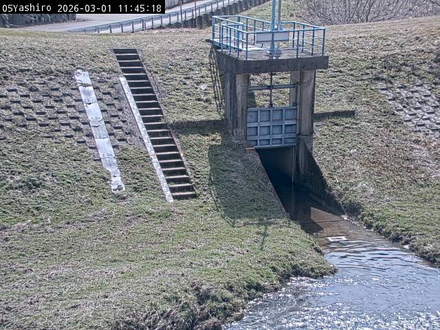 最新監視カメラ画像