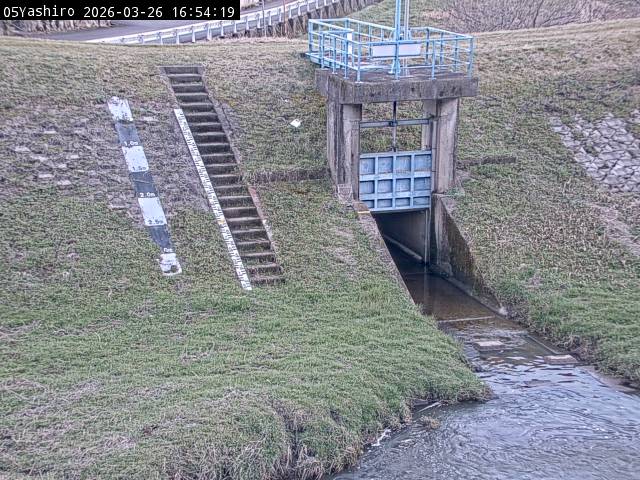 最新監視カメラ画像