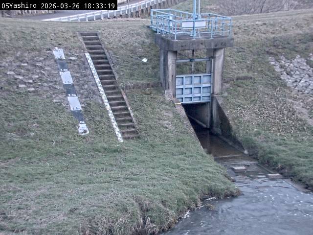 最新監視カメラ画像