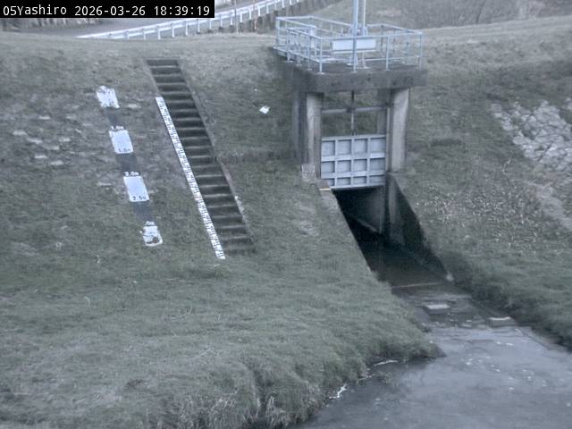 最新監視カメラ画像