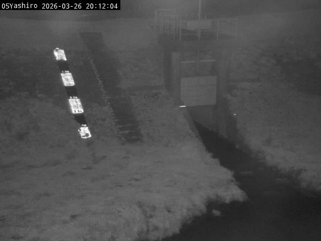 最新監視カメラ画像