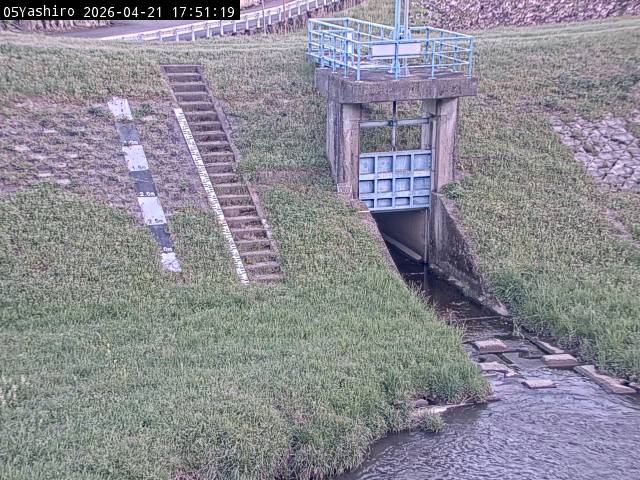 最新監視カメラ画像